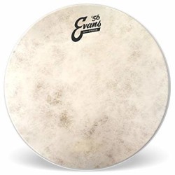 EVANS 13"PEAU C7