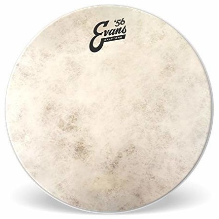 Peau Evans 13" c7 - Macca Music -