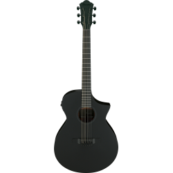 Guitare Electro-Acoustique IBANEZ AEWC621-BOT - Macca Music