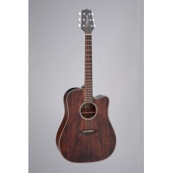 TAKAMINE  GD21CE SATIN...