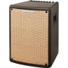Ampli Acoustique IBANEZ Troubadour T80II - Macca Music