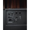Ampli basse combo AGUILAR TH210COMBO - Macca Music