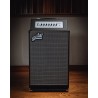 Ampli basse combo AGUILAR TH210COMBO - Macca Music