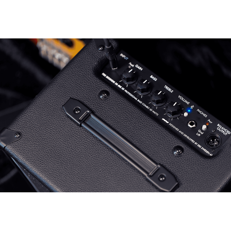 Ampli Basse EBS Session30 MK3 - Macca Music