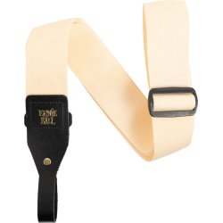 ERNIE BALL AEB 5368