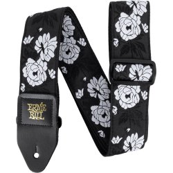ERNIE BALL AEB 5357