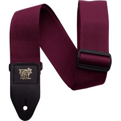ERNIE BALL AEB 4047