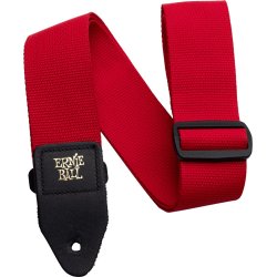 ERNIE BALL AEB 404
