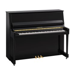 YAMAHA B30_PE//EZ