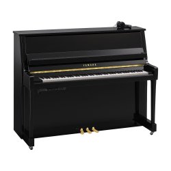 YAMAHA B20_SC3_PE//EP