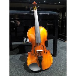 OCCASION STAGG VIOLON 4/4 COMPLET +COUSSIN