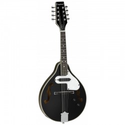 TANGLEWOOD TWM T BKP E