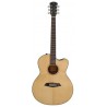 LARRY CARLTON A3 GS NAT