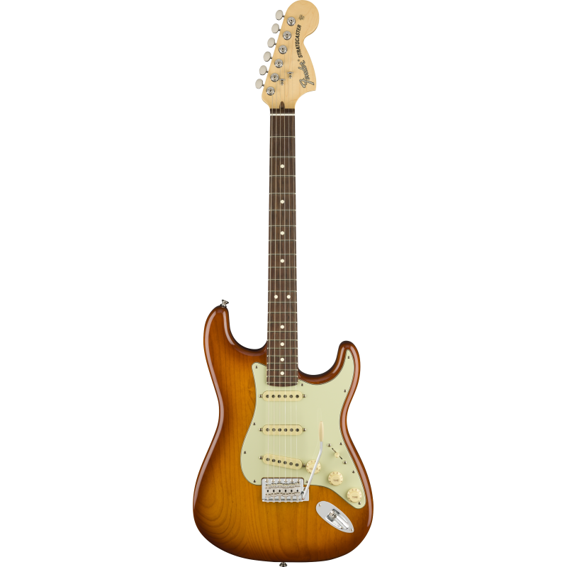 Guitare électrique FENDER Stratocaster American Performer RW HB - Macca Music