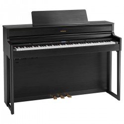 ROLAND HP-704