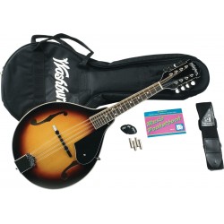 WASHBURN M1K