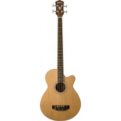 WASHBURN AB5