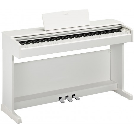 Piano numérique YAMAHA YDP-145 White - Macca Music