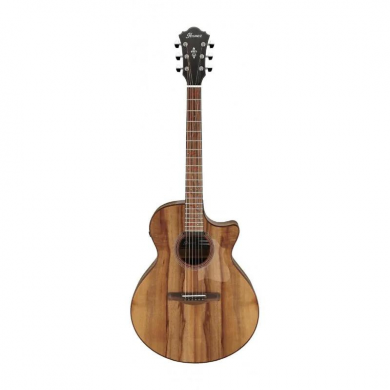 Guitare Electro-Acoustique IBANEZ AE295MYW-LGS - Macca Music