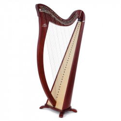 CAMAC HARPE CELTIQUE...