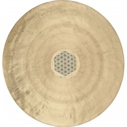 Gong 16'' MEINL Sonic Energy WGFOL16 - Macca Music