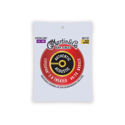 Jeu De Corde Pour Guitare Acoustique MARTIN MA175T - Macca Music