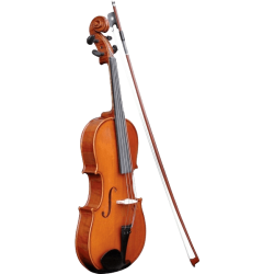 Violon 4/4 HERALD AS244 Massif En Etui - Macca Music