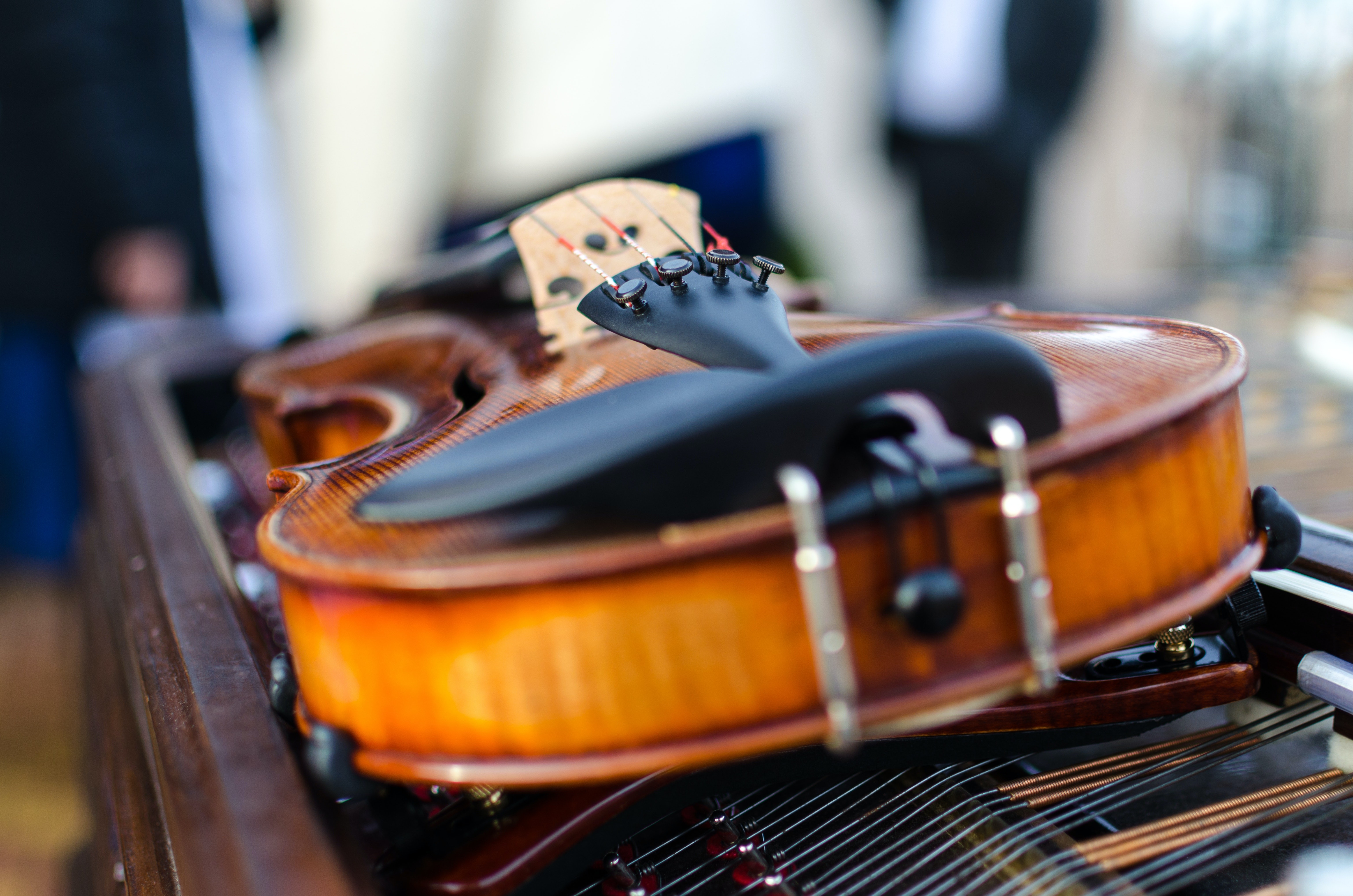 Quatuor & Violon