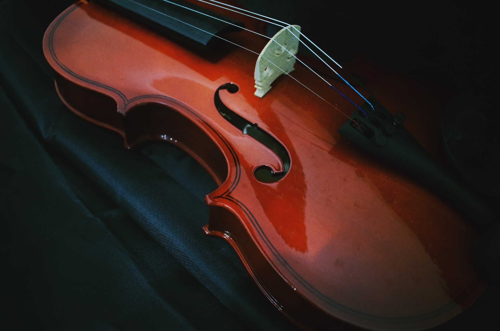 Violon