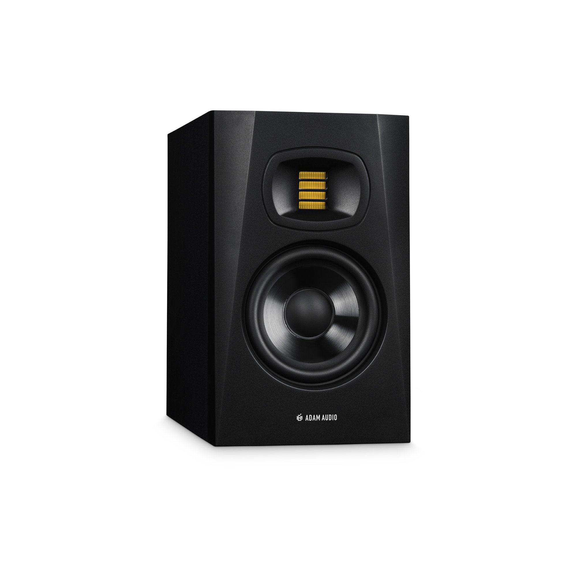 Enceinte monitoring